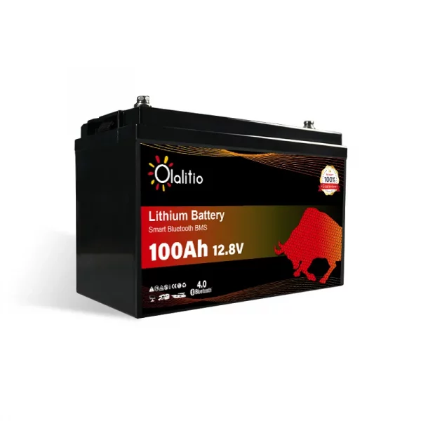 olalitio-lithium-batterie-12v-100ah-4