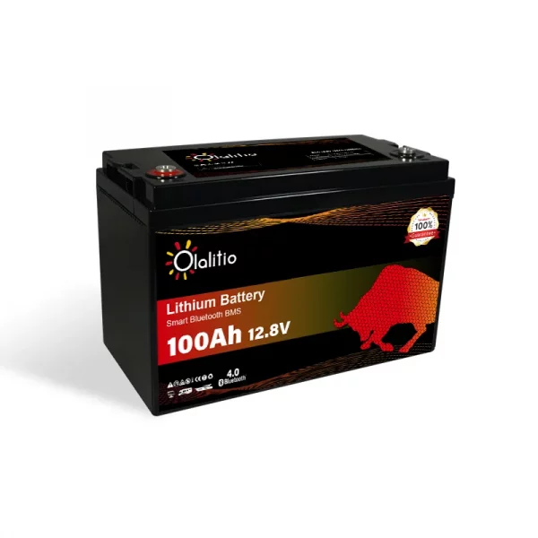 olalitio-lithium-batterie-12v-100ah-7