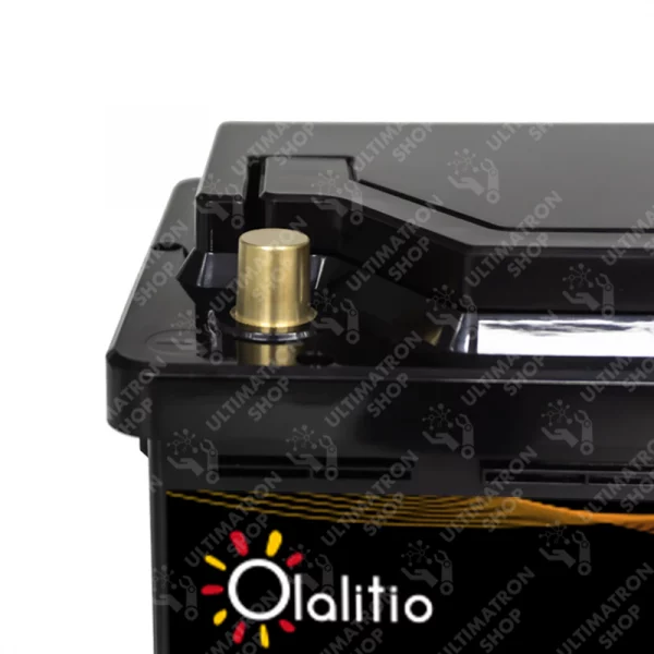 olalitio-lithium-batterie-12v-100ah-sln3-3